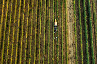 2024_Leonetti_Harvest_0002