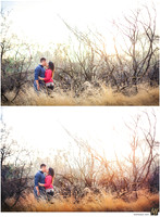 Basic Edit vs Signature Edit