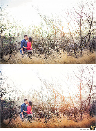 Basic Edit vs Signature Edit
