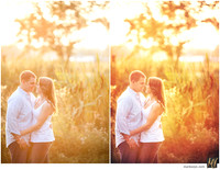 Basic Edit vs Signature Edit