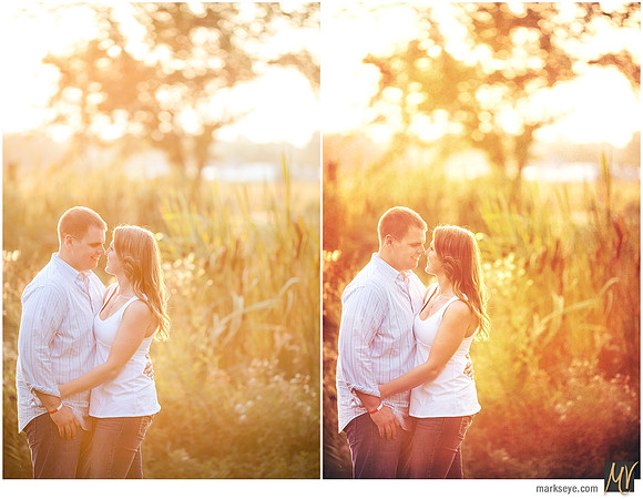 Basic Edit vs Signature Edit