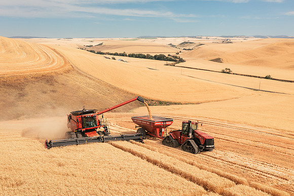 2025_VisitWW_03_Ag_WheatHarvest_0006