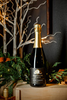 2024_CapitalCall_Holiday_0005