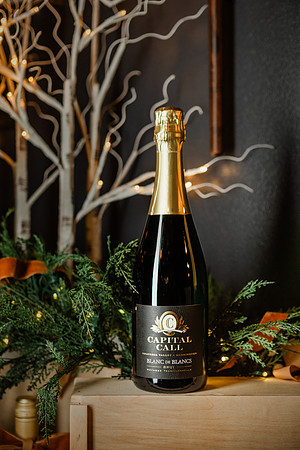 2024_CapitalCall_Holiday_0005