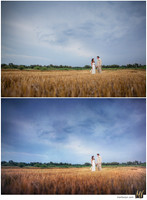 Digital Negative vs Signature Edit