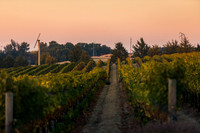 2018_Leonetti_Loess_V2_0019