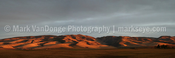 IMG_8703 pan wide blend alt2 12x36