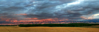 IMG_8888 pan wide alt1 12x36