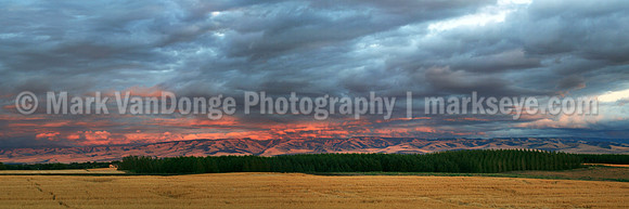 IMG_8888 pan wide alt1 12x36