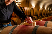 2024_Leonetti_Caves_0013