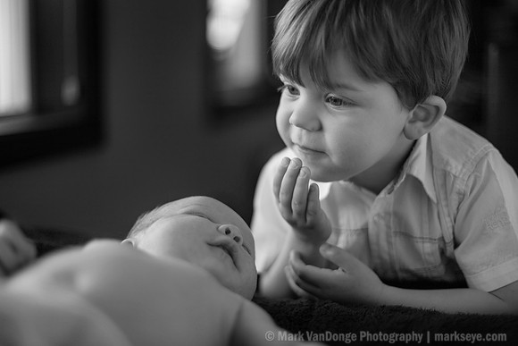 2012Portrait_Anderson_0006bw
