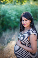 2014_HariShaker_0011