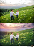 Basic Edit vs Signature Edit