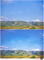Basic Edit vs Signature Edit