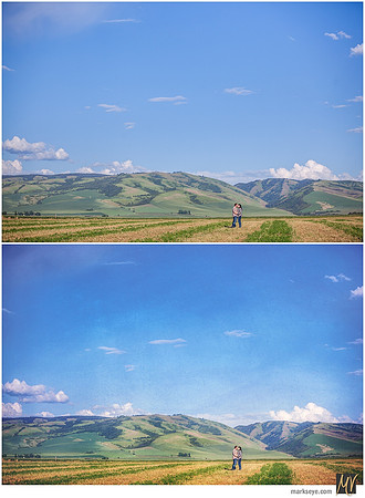 Basic Edit vs Signature Edit