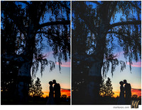 Basic Edit vs Signature Edit