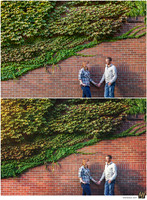 Basic Edit vs Signature Edit