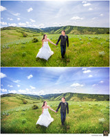 Basic Edit vs Signature Edit