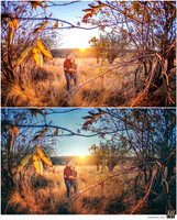 Basic Edit vs Signature Edit