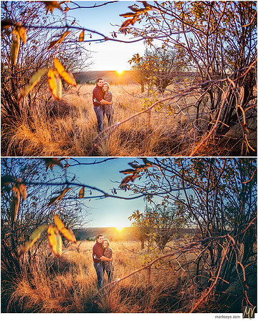 Basic Edit vs Signature Edit