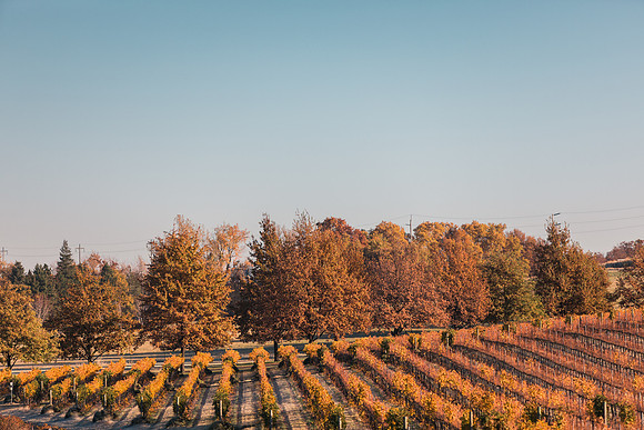 2018_Leonetti_Loess_V2_0023