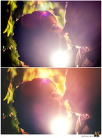 Basic Edit vs Signature Edit