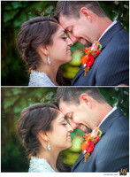 Basic Edit vs Signature Edit
